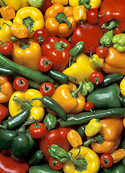 learn how to grow peppers and chillies with our easy to follow vegetable garden tips