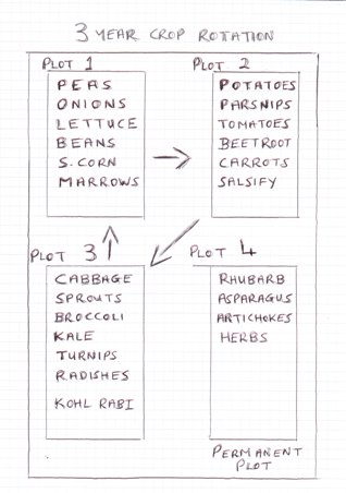 vegetable garden layout for growing Asparagus