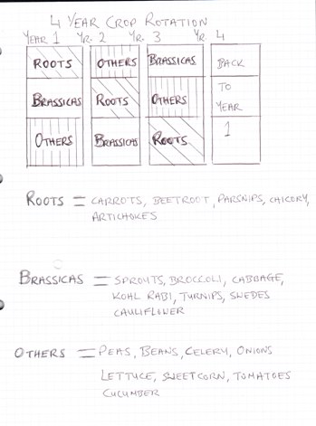 vegetable garden layout plans